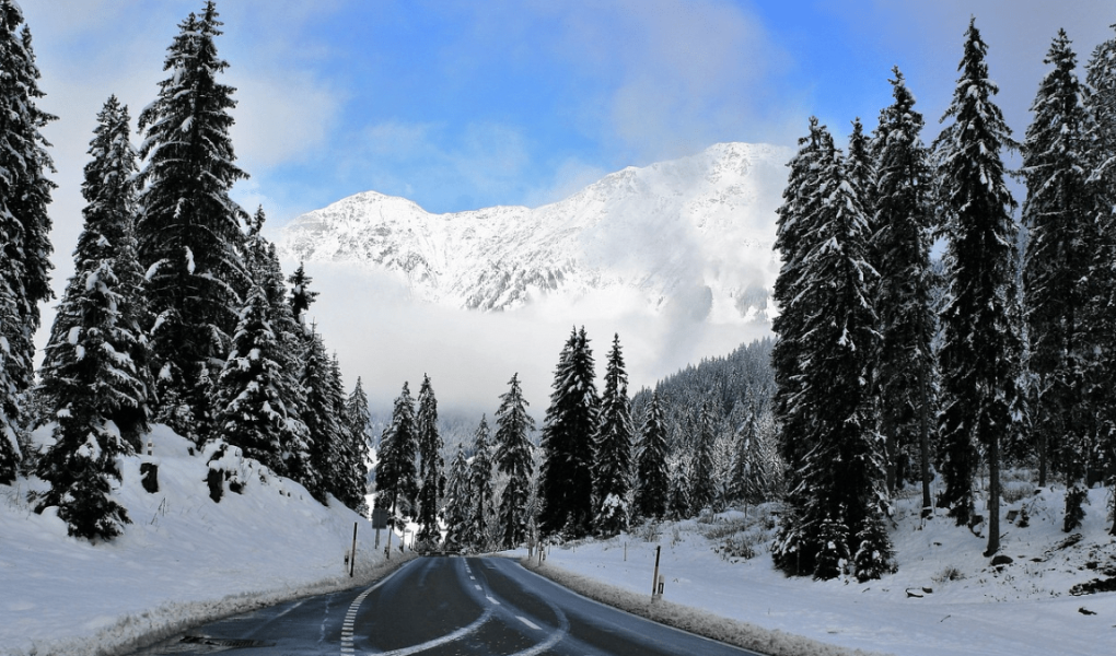 Snow-covered mountain road surrounded by tall pine trees and bright blue sky, showcasing the beauty of winter tourism and scenic travel destinations.