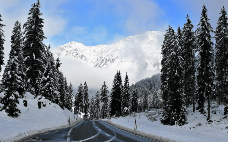 Snow-covered mountain road surrounded by tall pine trees and bright blue sky, showcasing the beauty of winter tourism and scenic travel destinations.